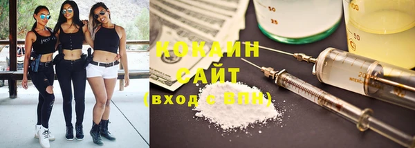 шишки Мегион