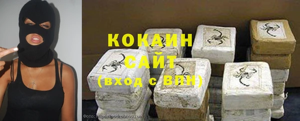 стаф Медногорск