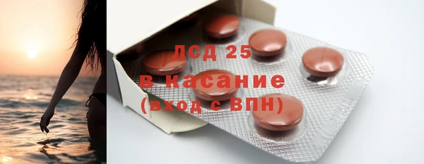стаф Медногорск