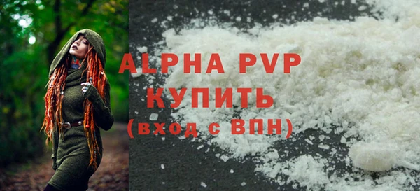 прущие грибы Михайловск