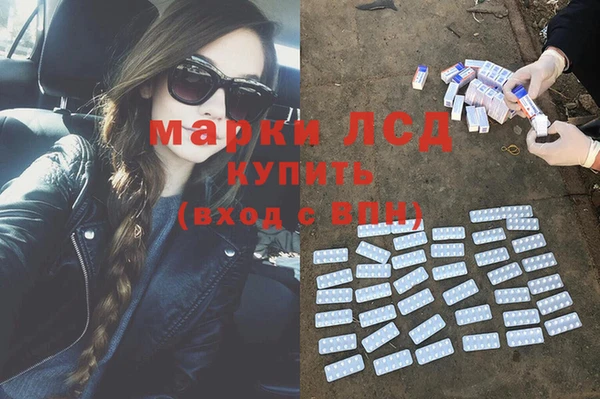 прущие грибы Михайловск