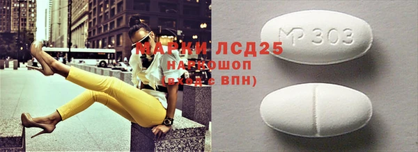 прущие грибы Михайловск